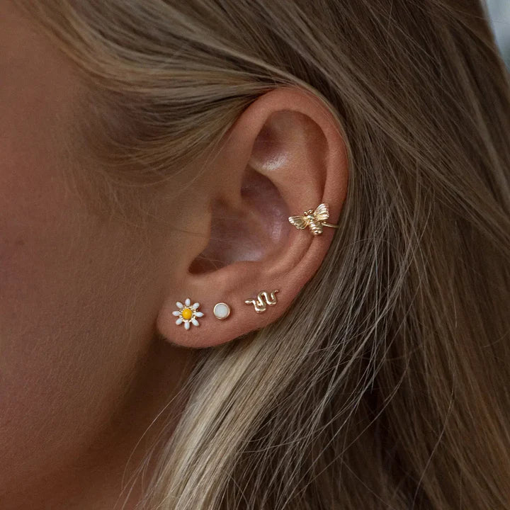 Timi of Sweeden - Dorris Daisy